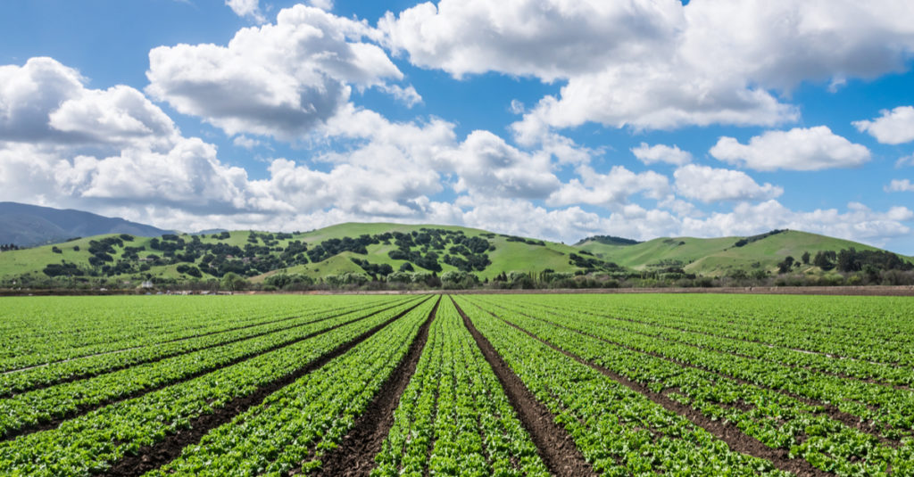 Plant-Based News